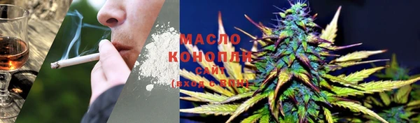 сатива Медногорск