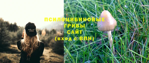 сатива Медвежьегорск
