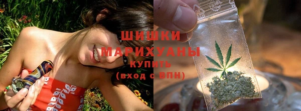сатива Медногорск