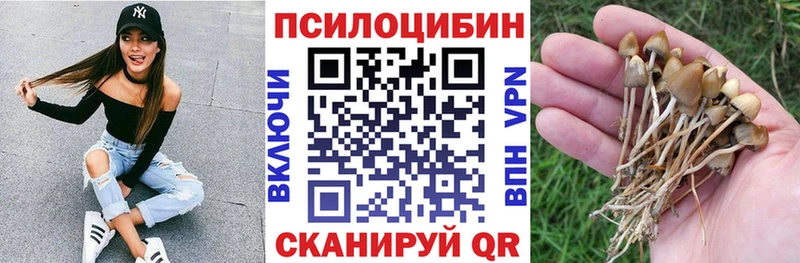 Купить  Звенигово  Галлюциногенные грибы прущие грибы 